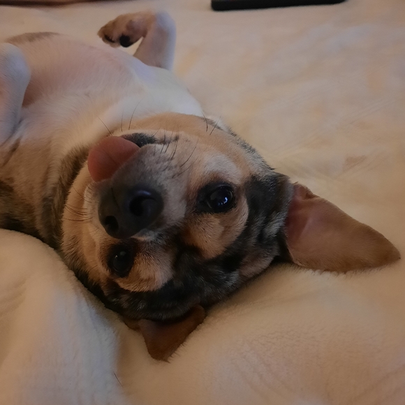 Meet your Posher, Rebekah - Picture 5 of 6